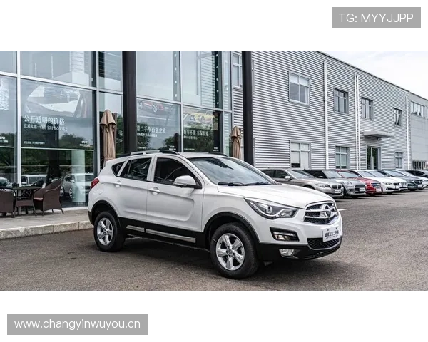 11万的海马S5 1.5T CVT能做成什么样? 11万的海马S5 1.5T CVT能做成什么样?